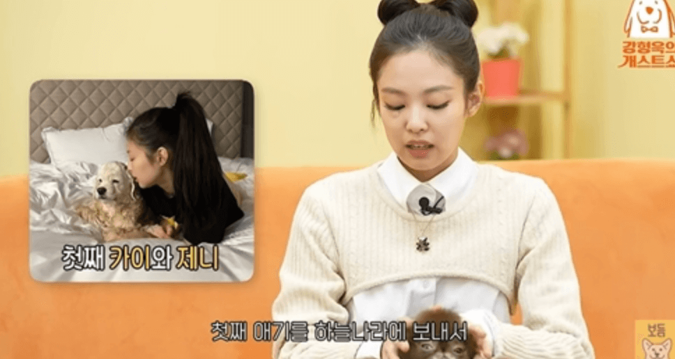 제니 반려견 카이와 작별