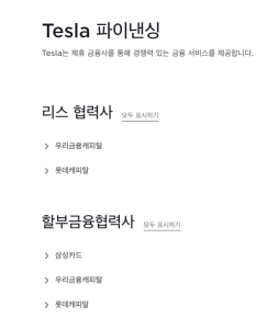 테슬라 파이넨싱