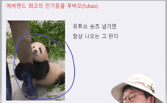 푸바오 인기