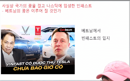 빈패스트-테슬라