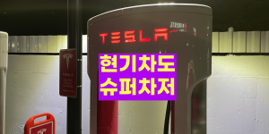 현대차 테슬라 충전 규격 사용