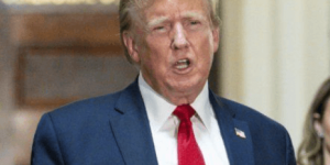 트럼프 자동차 관세