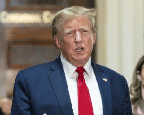 트럼프 자동차 관세