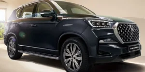 렉스턴 써밋, 팰리세이드 VIP