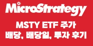 MSTY 계산기