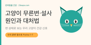 고양이 무른변·설사 원인과 대처법 — 변 상태로 보는 고양이 건강 신호